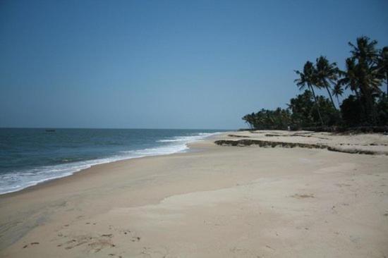 Bed and Breakfast Fool'S Paradise Alappuzha Zewnętrze zdjęcie